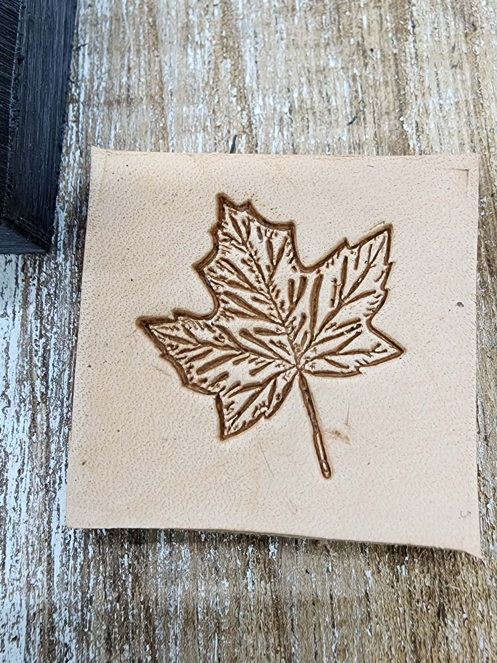 Maple Leaf Novelty 3D Polymer Leather Stamp