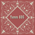 Acrylic Holster Templates for Taurus G2C
